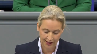 weidel